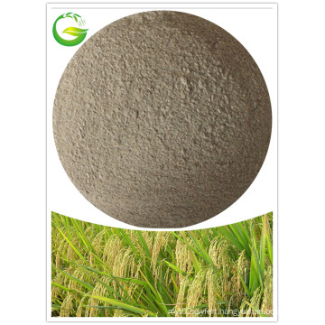 Fulvic Acid Chelate Mg Fertilizer